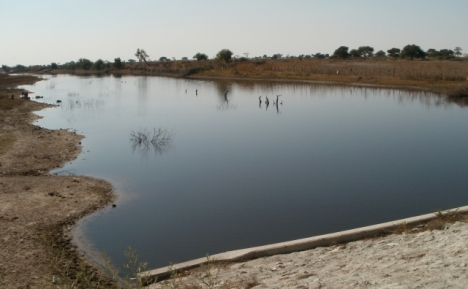 The Boteti River, just before it reaches Lake Xau