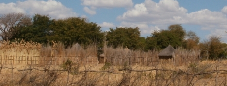 The Kavango style of domestic architecture was similar to that in Ovamboland, but the walls and fences were often built of grass rather than sticks