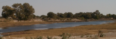 The Boteti River at Rakops