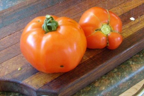 First tomatoes from our garden - 6 Feb 2015