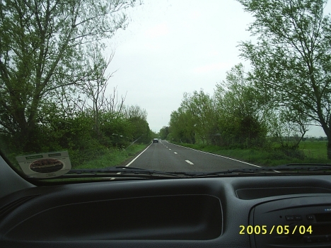 The Somerset Leveds, with the road lined with basket willows 4 May 2005