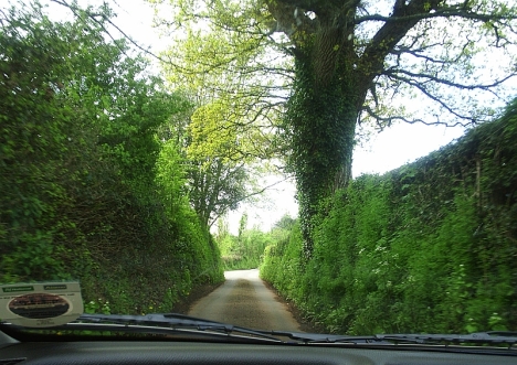 Devonshire lanes near Dunchideock,  with high banks and hedges, and no view of the countryside. 4 May 2005. 