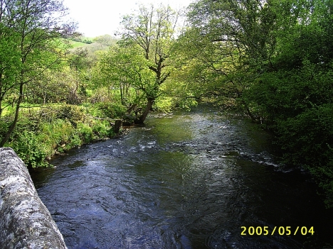 The River Teign at Ashton. 4 May 2005.