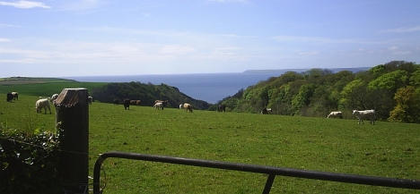 South Cornwall coast near Par. 5 May 2005