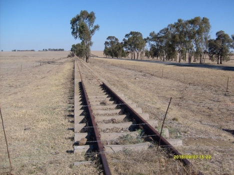 Abandoned railway lines between Villiers and Balfour, 7 September 2015